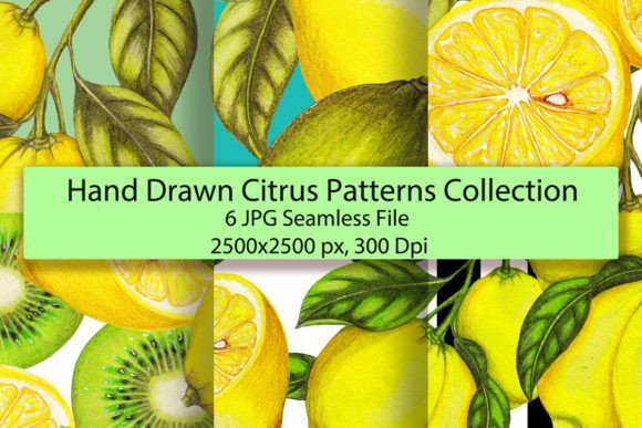 Hand Drawn Repeat Citrus Patterns Set